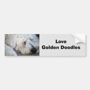 Autocollant De Voiture Arrière - plan Goldendoodle