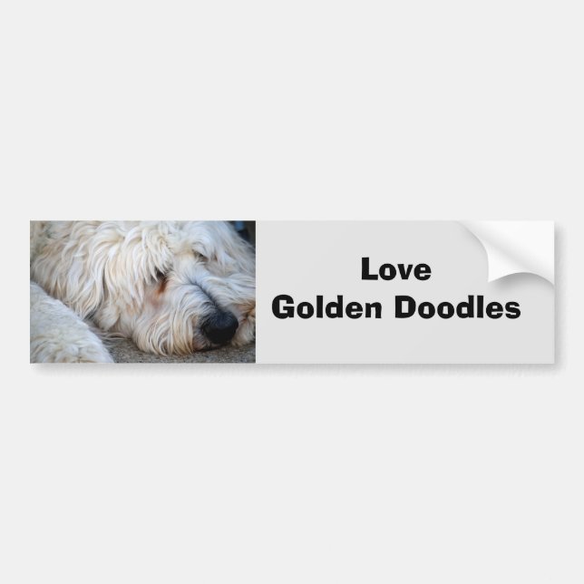 Autocollant De Voiture Arrière - plan Goldendoodle (Devant)