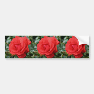 Autocollant De Voiture Art de voiture d'adhésif pour pare-chocs de fleur