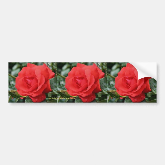 Autocollant De Voiture Art de voiture d'adhésif pour pare-chocs de fleur (Devant)