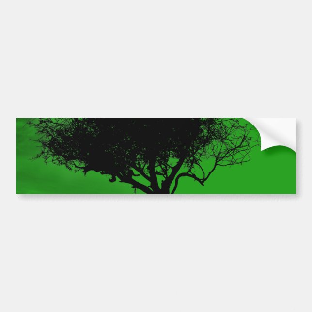 Autocollant De Voiture Aubépine de Glastonbury. Arbre sur la colline. (Devant)