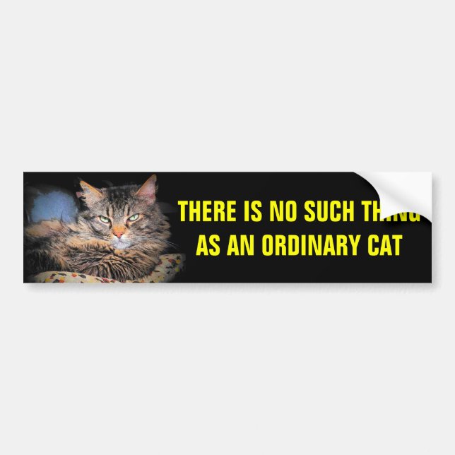 Autocollant De Voiture Aucune une telle chose comme chat ordinaire (Devant)