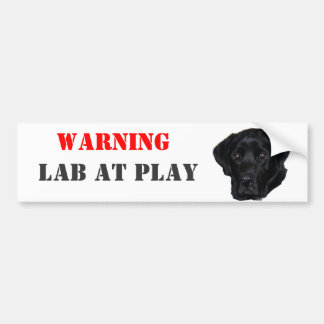 Autocollant De Voiture AVERTISSEMENT, laboratoire au jeu