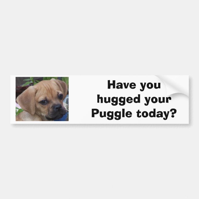 Autocollant De Voiture Avez-vous étreint votre Puggle aujourd'hui ? (Devant)