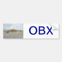 Avoine de mer sur les banques externes OR de dune