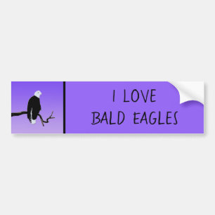 Autocollant De Voiture Bald Eagle at Sunset - Art original de la faune