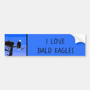 Autocollant De Voiture Bald Eagle en hiver - Art original de la faune