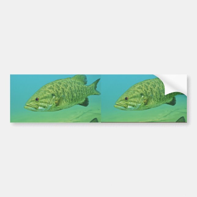 Autocollant De Voiture Basse de Smallmouth (Devant)