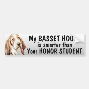 Autocollant De Voiture Basset Hound est plus futé que l'étudiant