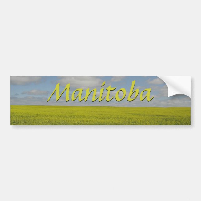 Autocollant De Voiture Bâton pare-chocs Manitoba Souvenir Manitoba (Devant)