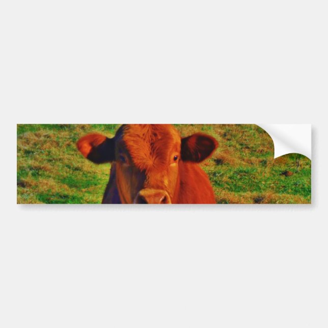 AUTOCOLLANT DE VOITURE BÉBÉ VACHE BROWN MANGER (Devant)
