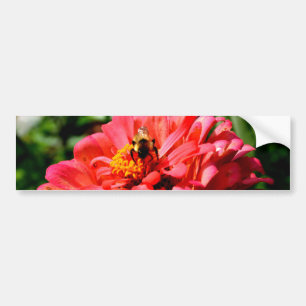 Autocollant De Voiture Bee and coral zinnia