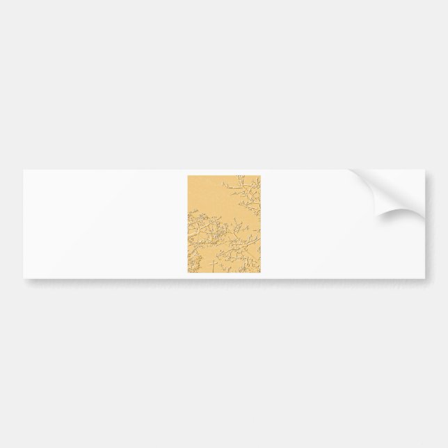 Autocollant De Voiture Bénissez-vous (Devant)