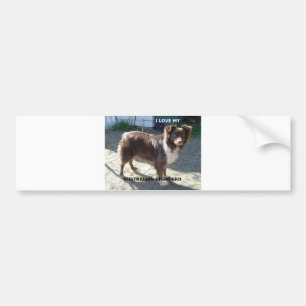 Autocollant De Voiture berger australien rouge tri amour w pic