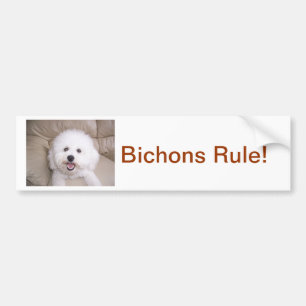 Autocollant De Voiture Bichon Frise