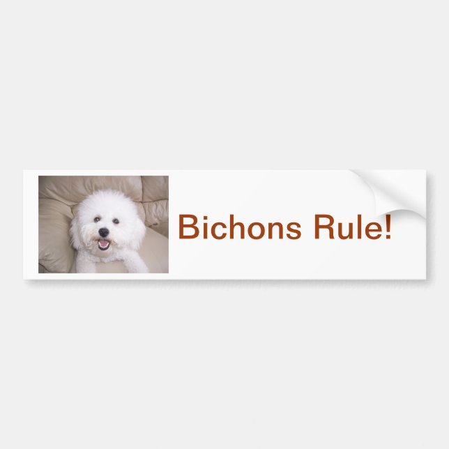 Autocollant De Voiture Bichon Frise (Devant)