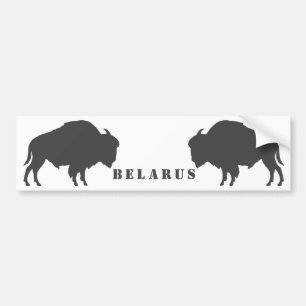 Autocollant De Voiture Biélorussie Bison З Biélorusse у б р Б е л de Vo