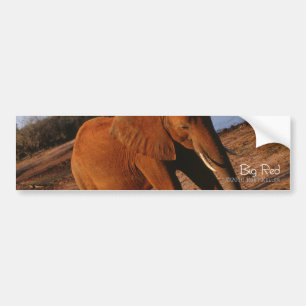 Autocollant De Voiture Big Red