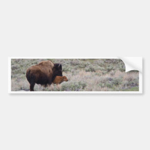Autocollant De Voiture Bison et veau