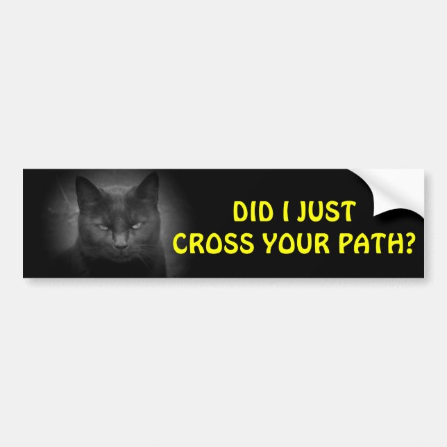 Autocollant De Voiture Black Cat vous a traversé le chemin (Devant)