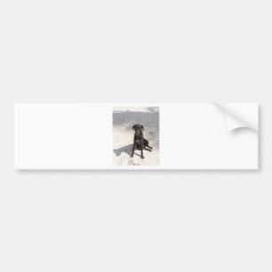 Autocollant De Voiture Black dog with an evil eye