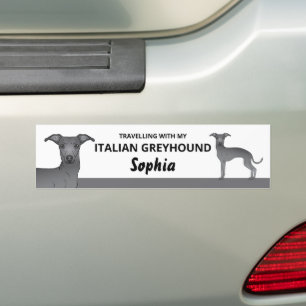 Autocollant De Voiture Bleu - Voyager avec mon chien Lévrier Italien