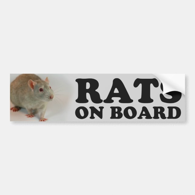 Autocollant De Voiture (Blue) Rats on board (Devant)