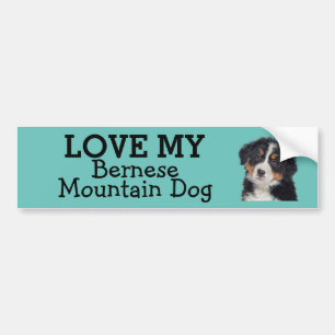 Autocollant De Voiture Bombe de pare-chocs du chien de montagne bernois