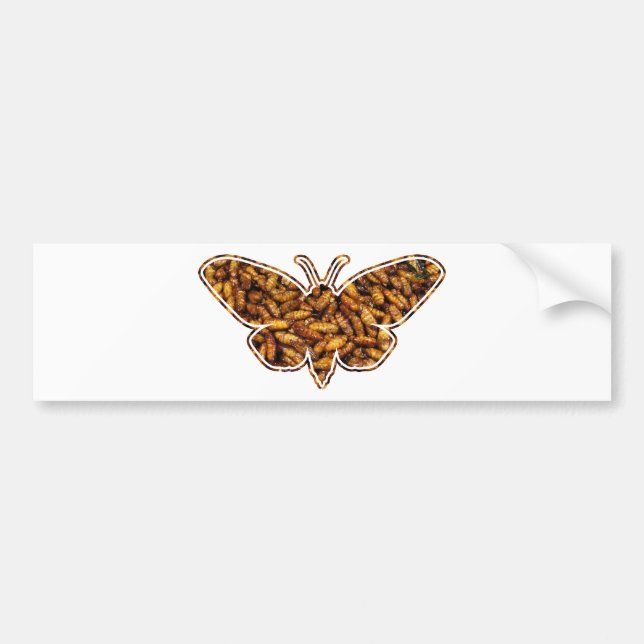Autocollant De Voiture Bombyx Mori Silk Moth Cycle de vie Silhouette (Devant)