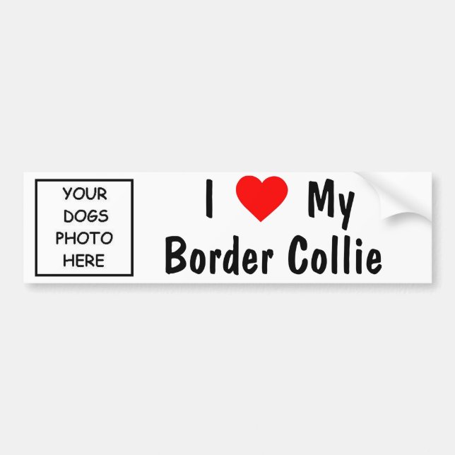 Autocollant De Voiture Border collie (Devant)
