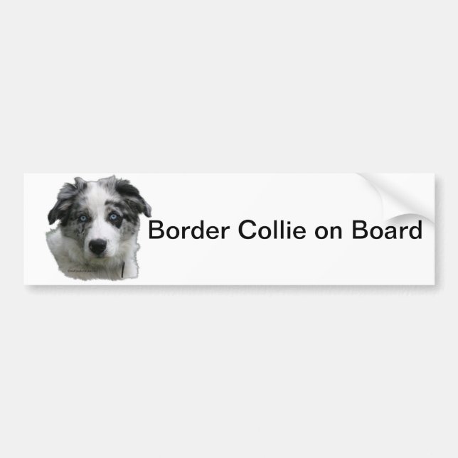 Autocollant De Voiture Border collie (Devant)