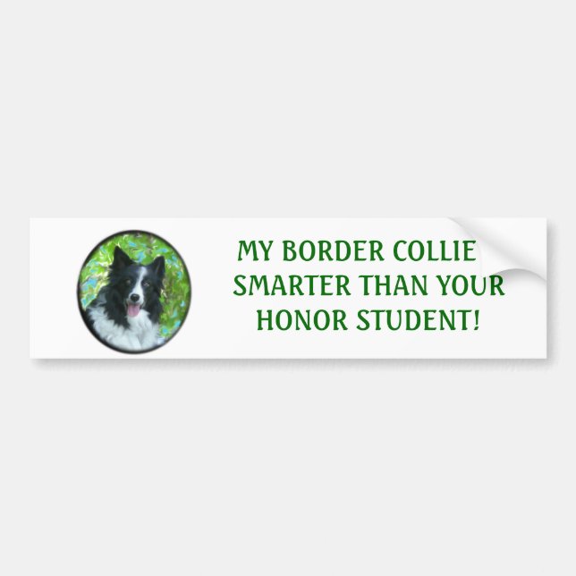 Autocollant De Voiture Border collie (Devant)