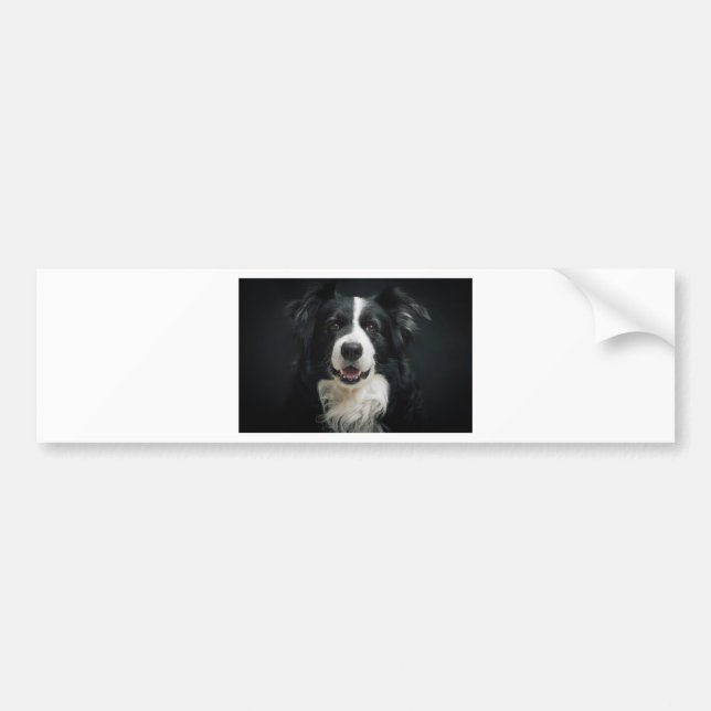 Autocollant De Voiture border collie (Devant)