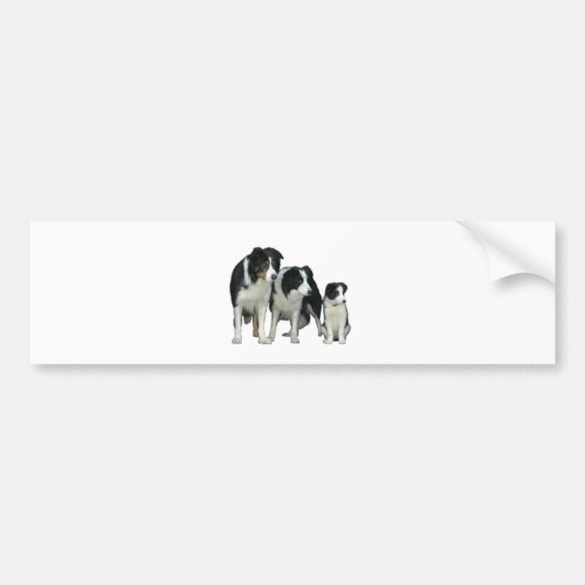 Autocollant De Voiture Border Collie Dogs (Devant)