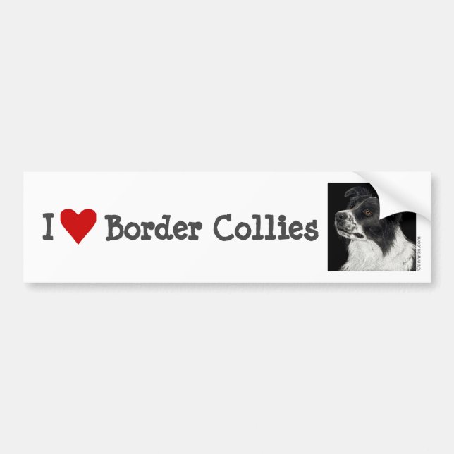 Autocollant De Voiture Bordure Collie Bumper Sticker - "Ben" (Devant)