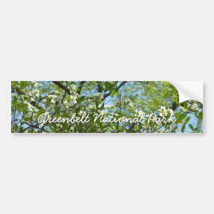 Autocollant De Voiture Branche of Dogwood Blossoms Spring Trees