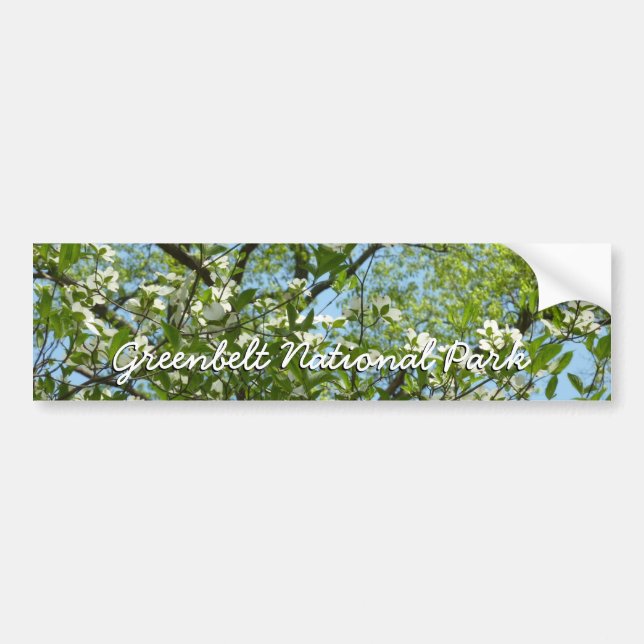 Autocollant De Voiture Branche of Dogwood Blossoms Spring Trees (Devant)