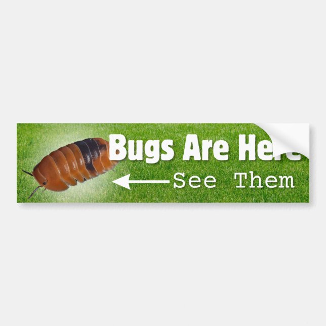 Autocollant De Voiture Bugs Are Here...Isopod Edition Bumper Sticker (Devant)