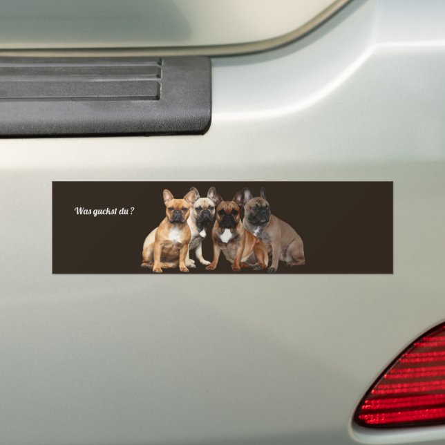 Autocollant De Voiture Bulldogen français Qu'est-ce que tu regardes ? (En voiture)