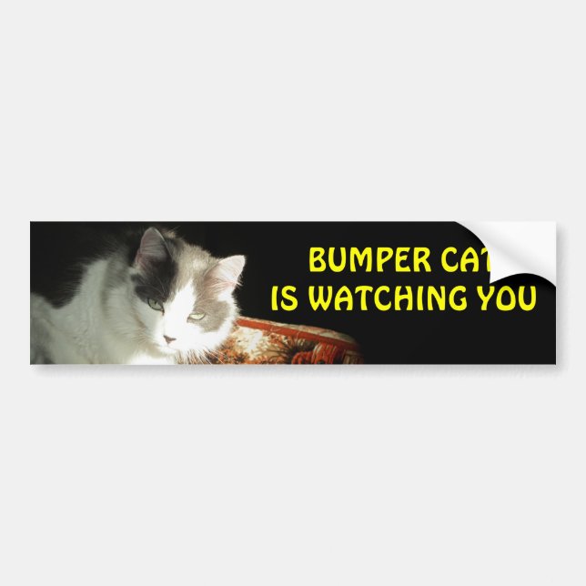 Autocollant De Voiture Bumper Cat regarde 2 (Devant)
