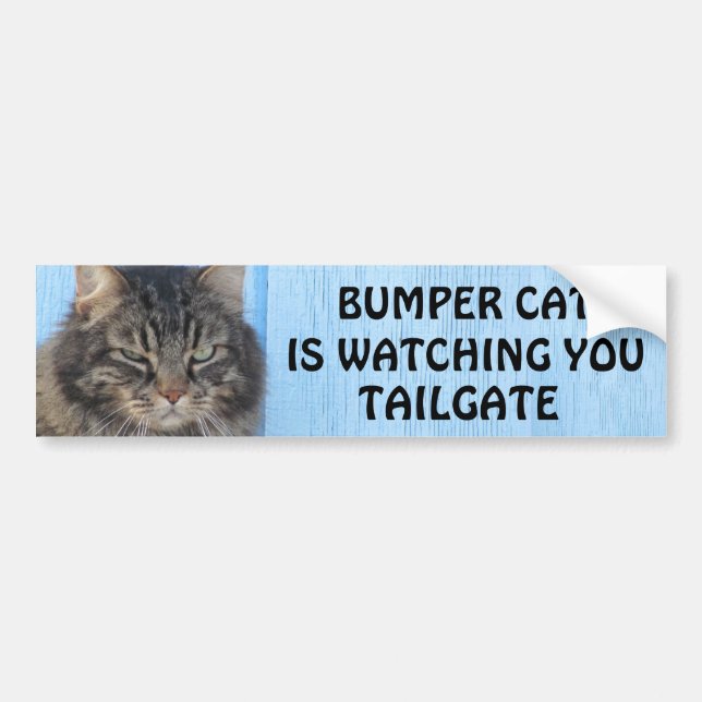 Autocollant De Voiture Bumper Cat regarde le mème TAILGATE 6 (Devant)