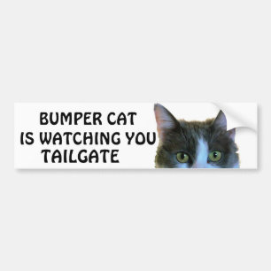 Autocollant De Voiture Bumper Cat regarde Meme TAILGATE 28
