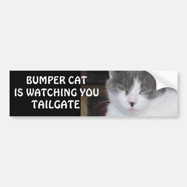 Autocollant De Voiture Bumper Cat regarde TAILGATE 18 (Devant)