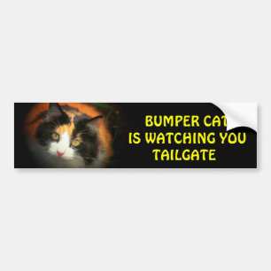 Autocollant De Voiture Bumper Cat regarde TAILGATE 26