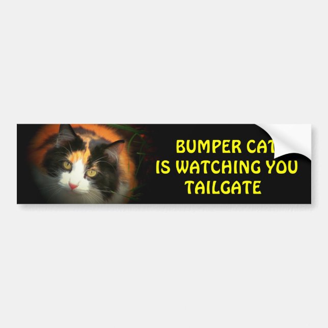 Autocollant De Voiture Bumper Cat regarde TAILGATE 26 (Devant)