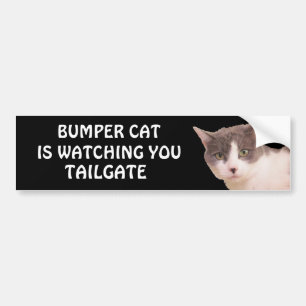 Autocollant De Voiture Bumper Cat regarde TAILGATE 33