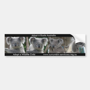 Autocollant De Voiture Bumper Sticker Adopter Un Koala Australie