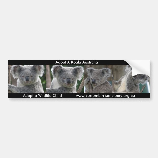 Autocollant De Voiture Bumper Sticker Adopter Un Koala Australie (Devant)