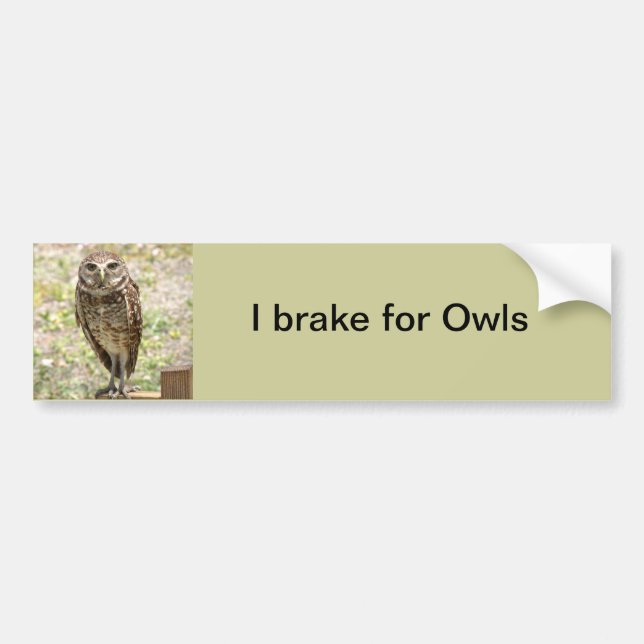 Autocollant De Voiture Bumper Sticker, Braque pour Chouettes, Chouette à  (Devant)