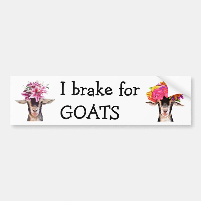 Autocollant De Voiture Bumper Sticker - Je freine pour les boucs (Devant)